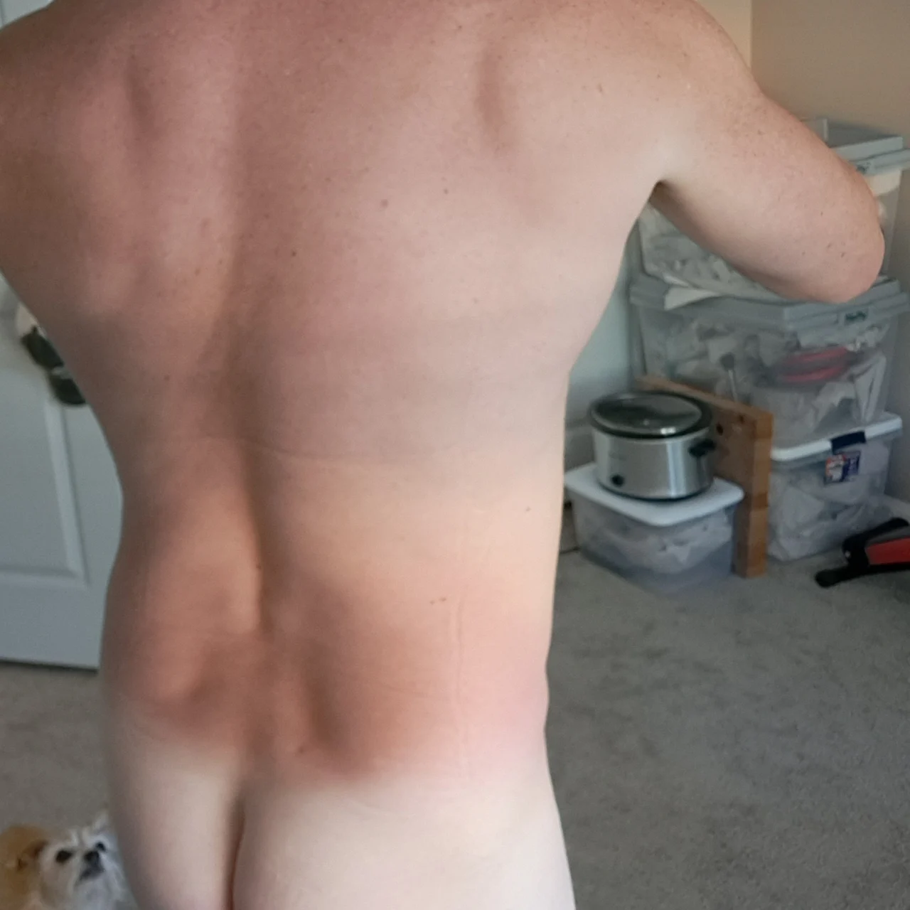 The Chilling Adventures of AJ🏳️‍🌈 - OnlyFans model