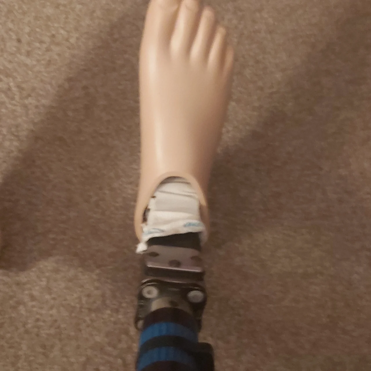 Amp Fun ✅ - OnlyFans model