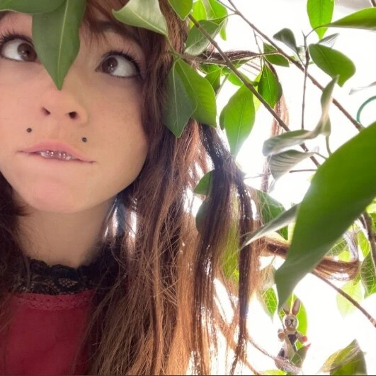 Archie - OnlyFans model