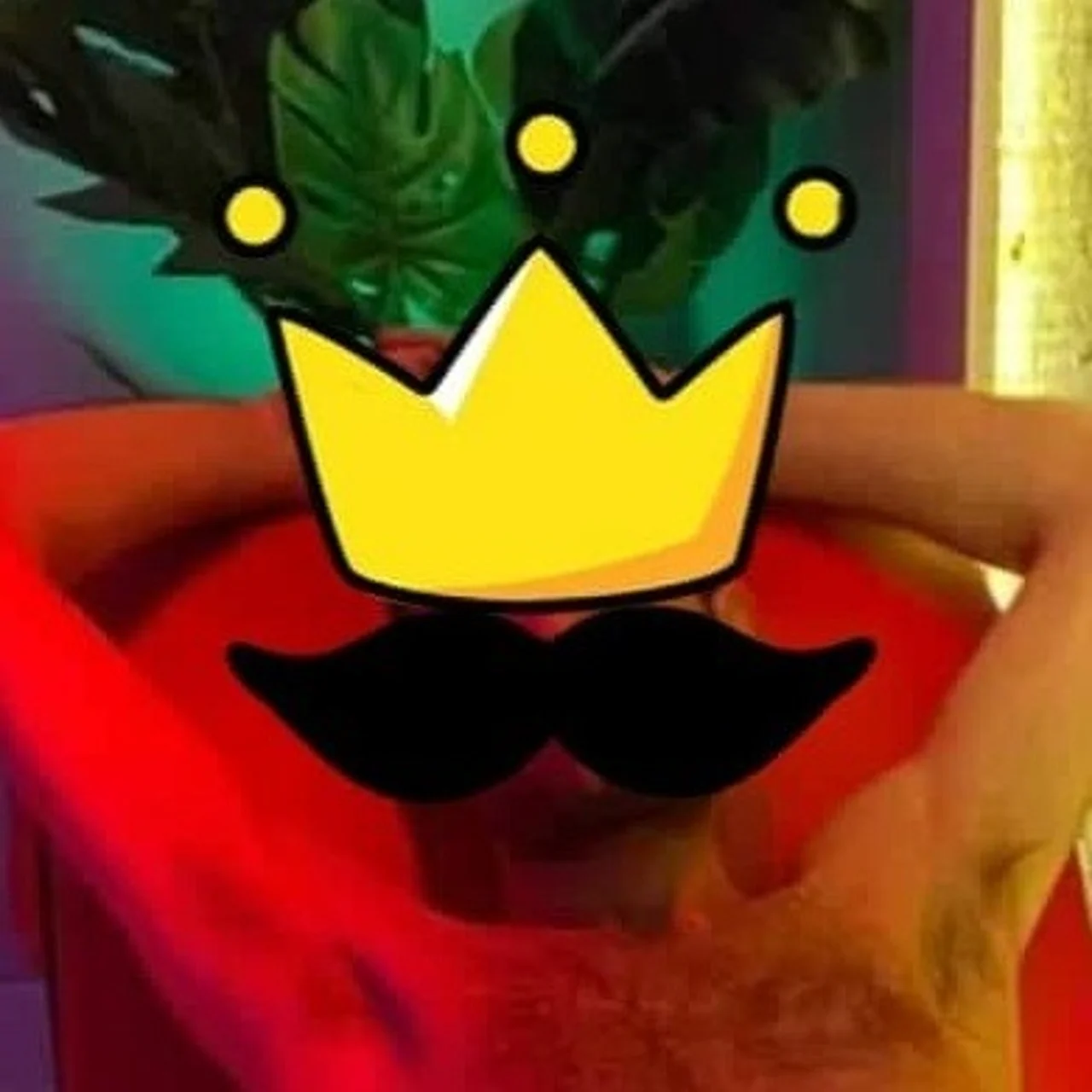 Arxidoukas - OnlyFans model