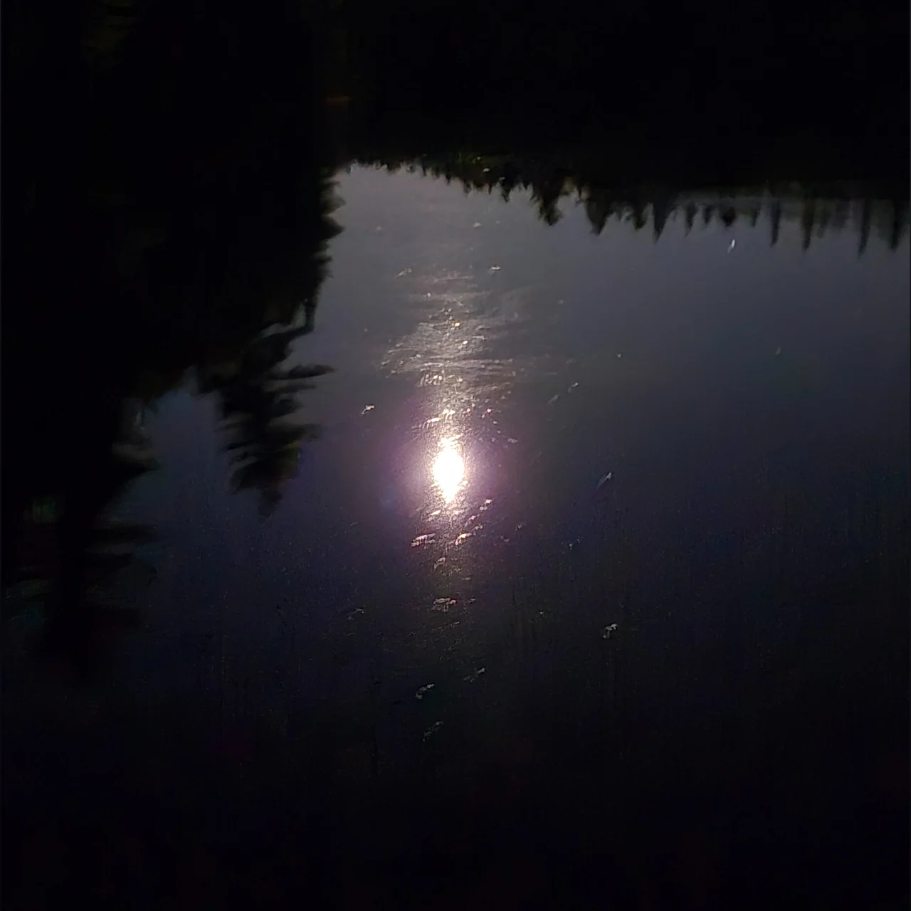 🎶🎷𝕄𝕌𝕊𝕀ℂ 𝕄𝔸ℕ🎷🎶 - OnlyFans model