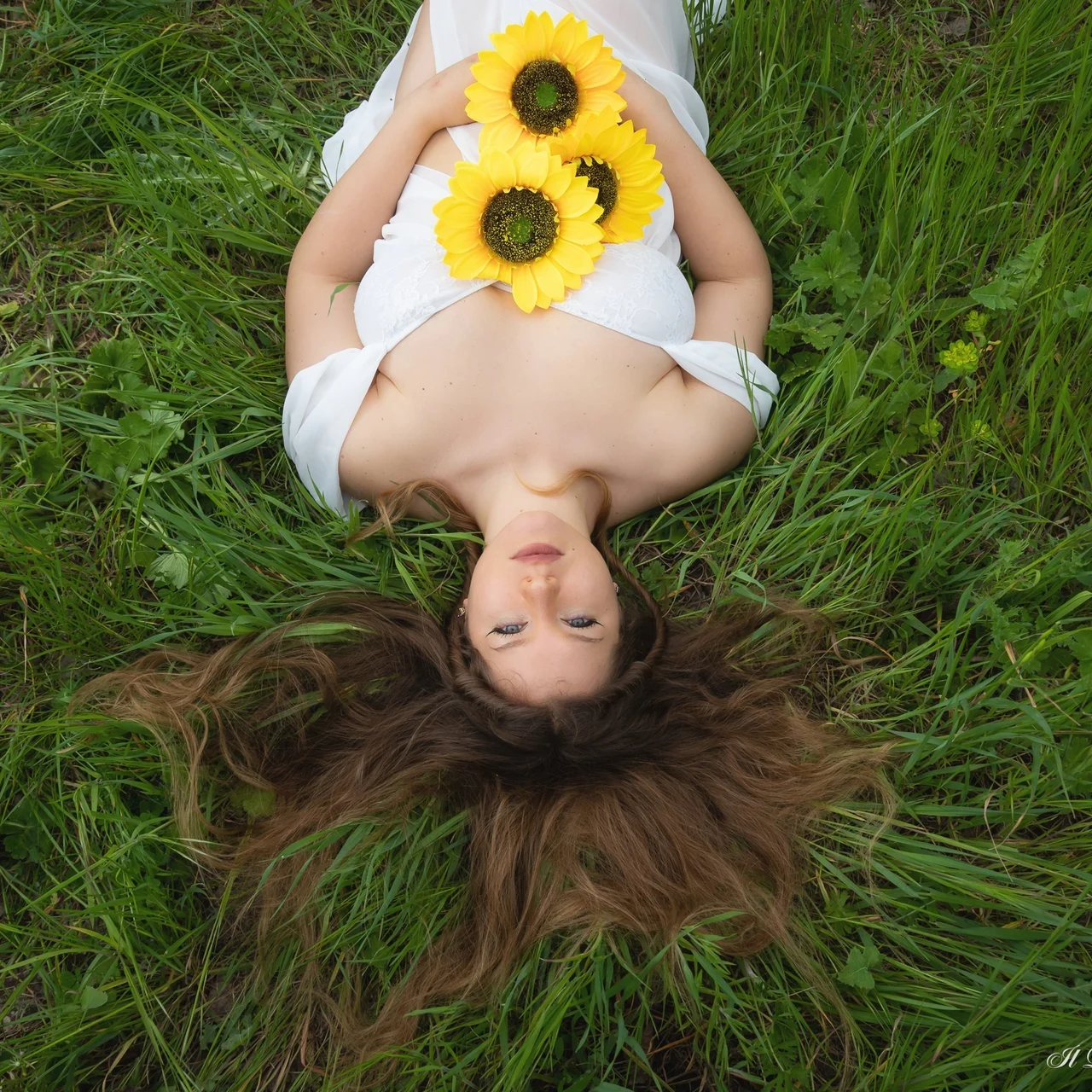 Alis🌻 - OnlyFans model