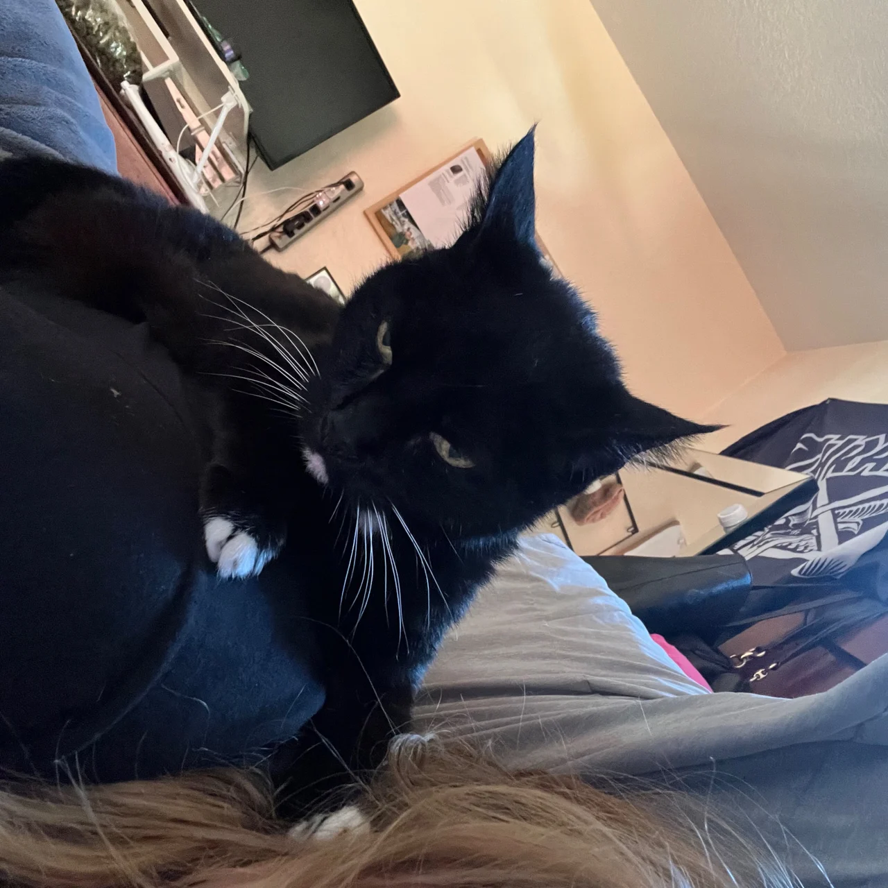 Ghost - OnlyFans model