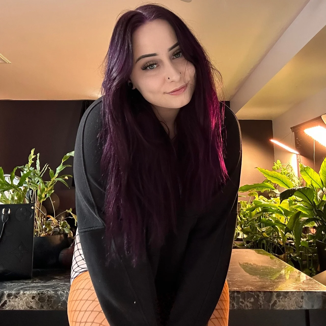 hayley angel - OnlyFans model