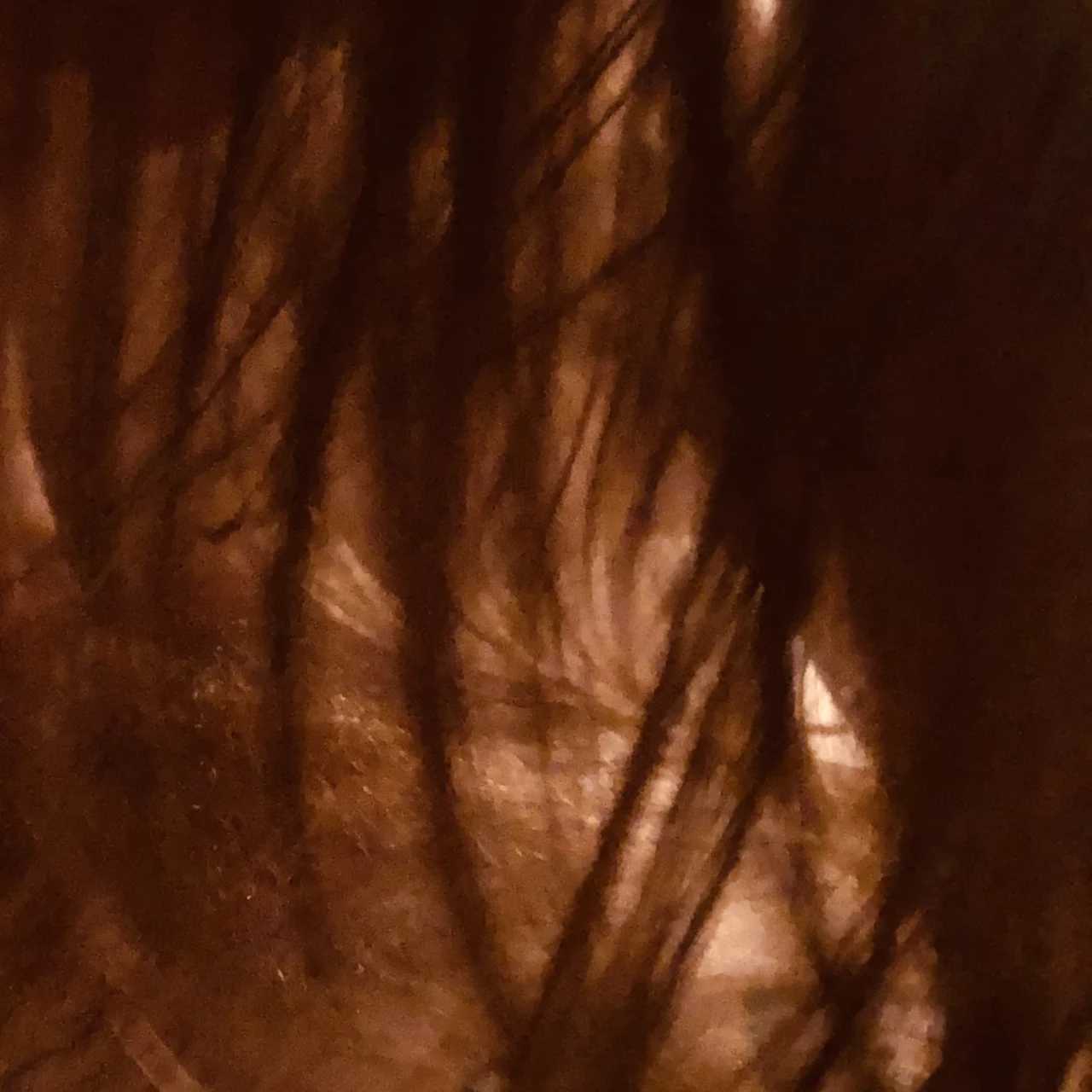 HiddenBrooke 🇫🇷 - OnlyFans model