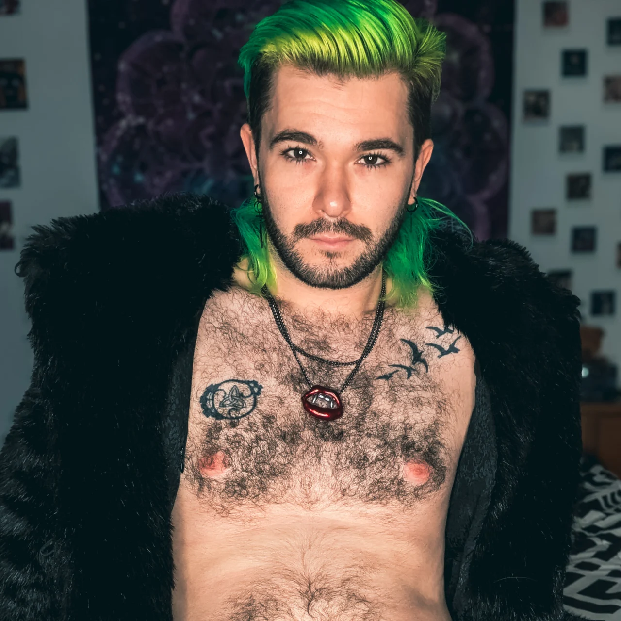 Preston Alistair - OnlyFans model