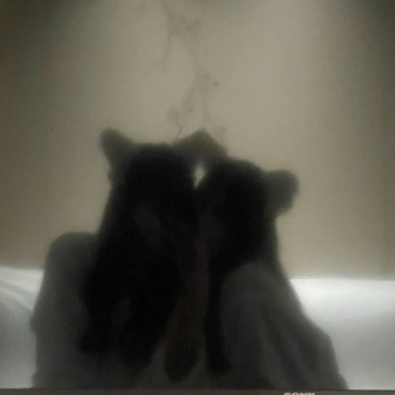 Ririka&amp;Aya - OnlyFans model