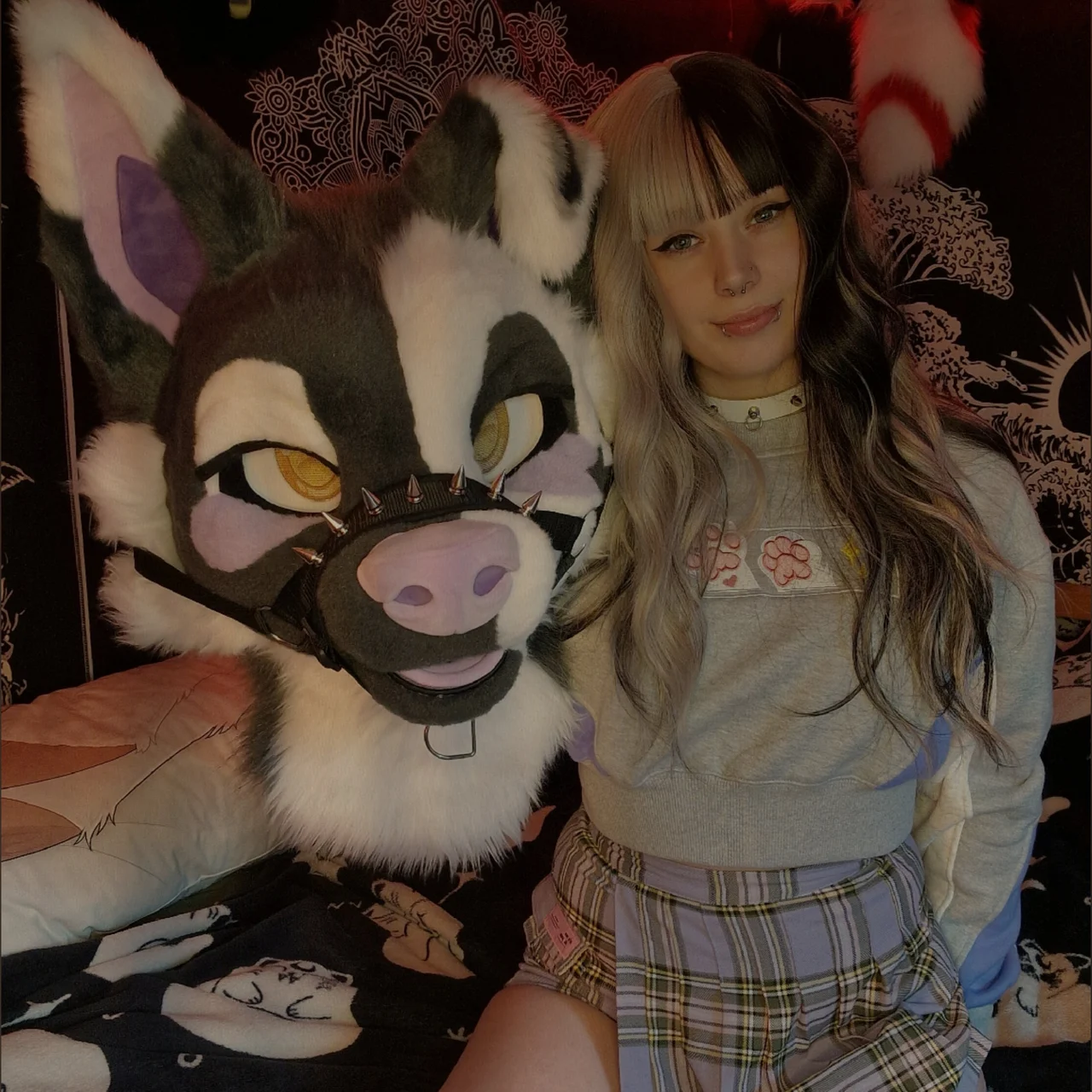 lilpixiekitten - OnlyFans model