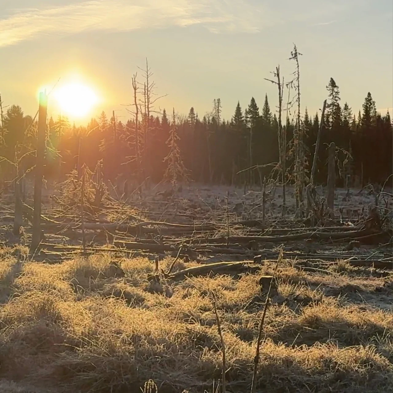 LLadventures - OnlyFans model