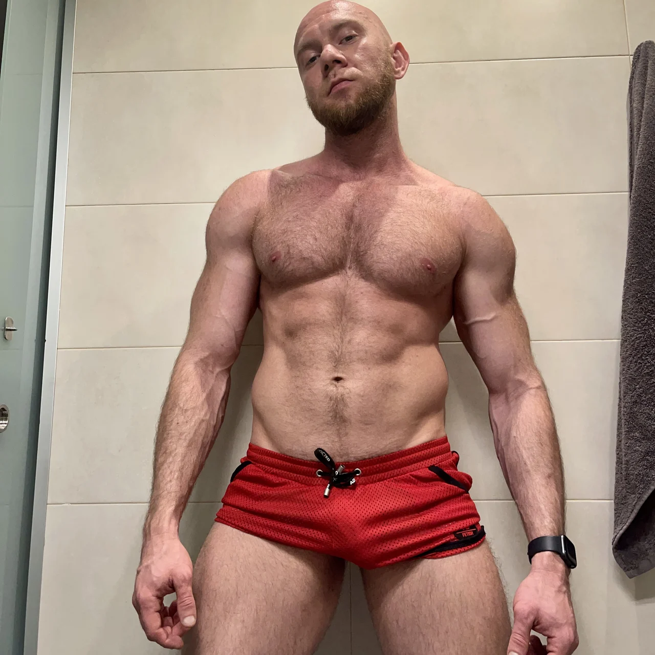 Max Torobull - OnlyFans model