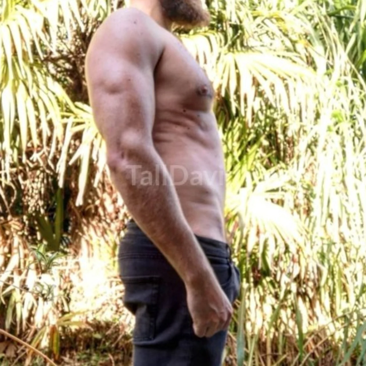 Mr Beef - OnlyFans model