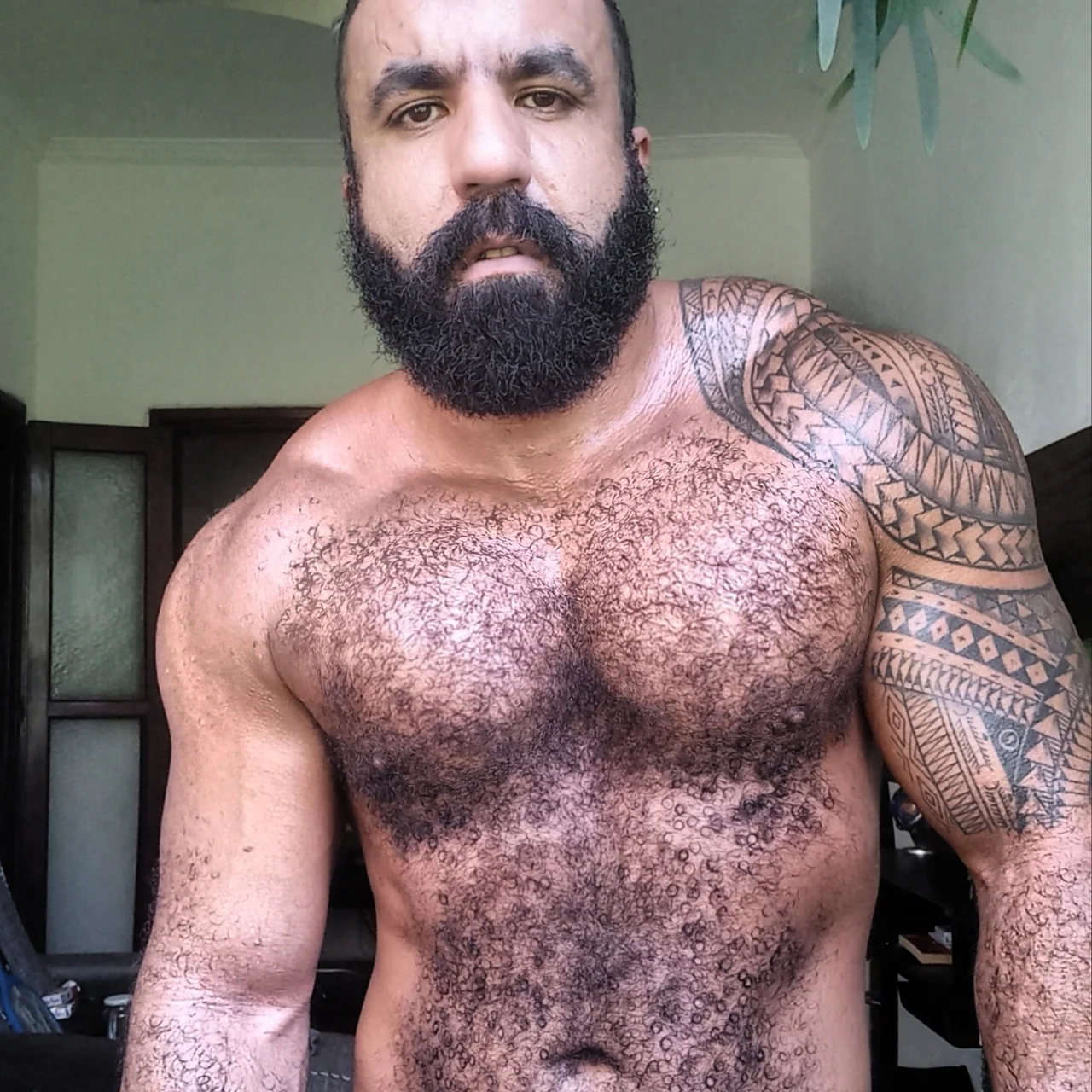 Musclebearbrazil - OnlyFans model