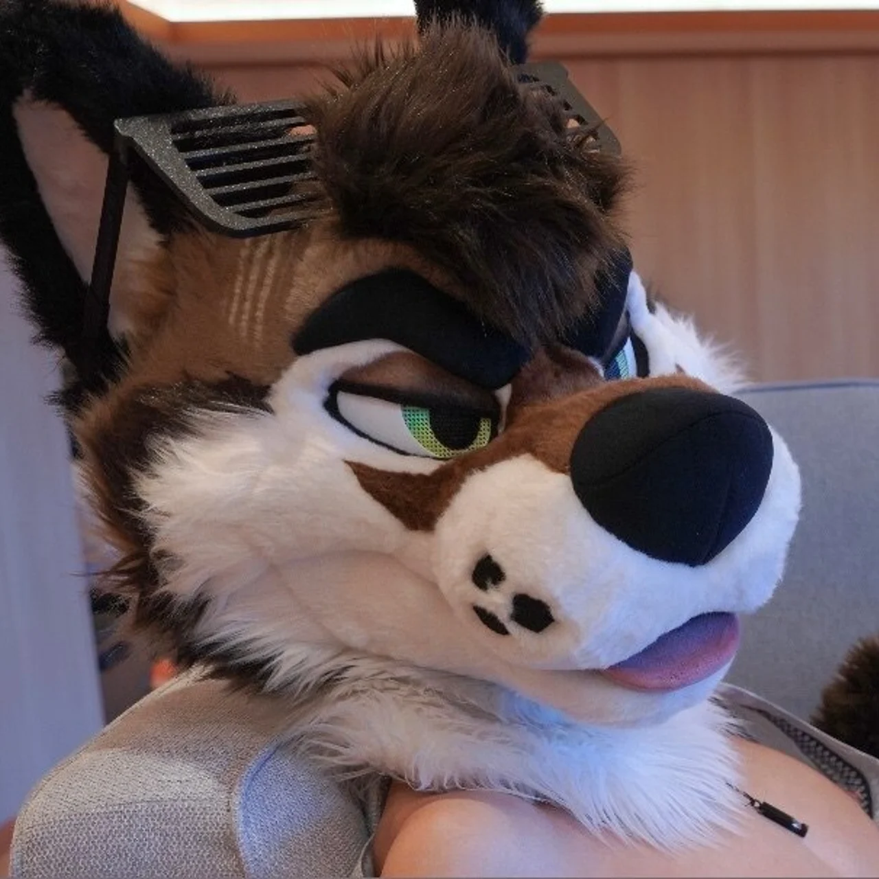 PalaceWolf - OnlyFans model