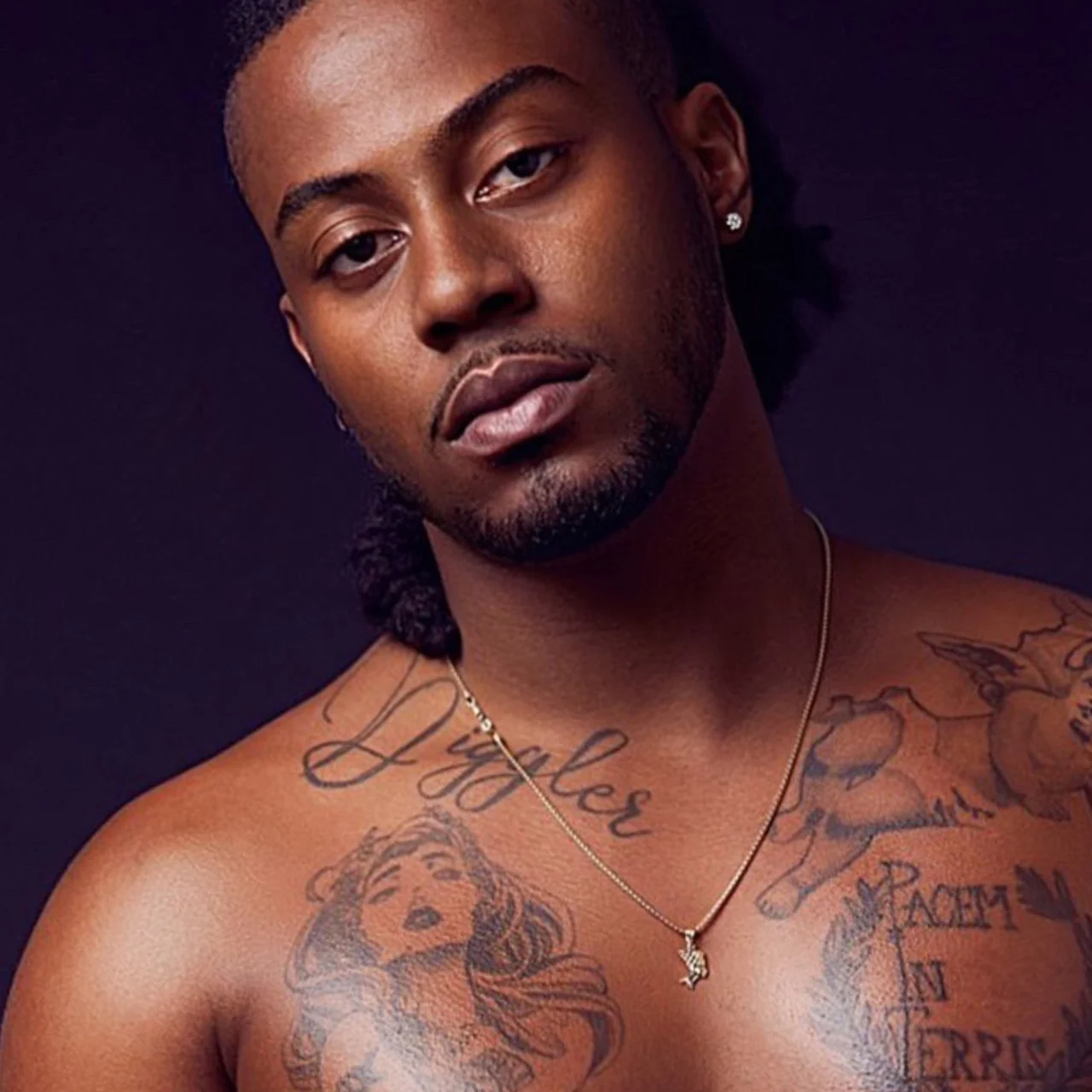 Sly Diggler - OnlyFans model