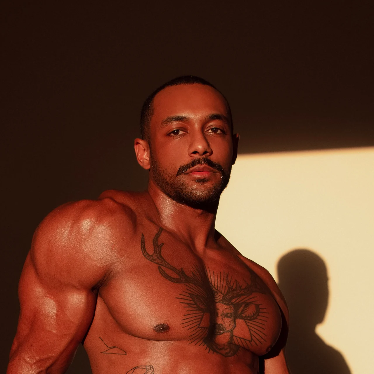 sobrenomeantonio - OnlyFans model