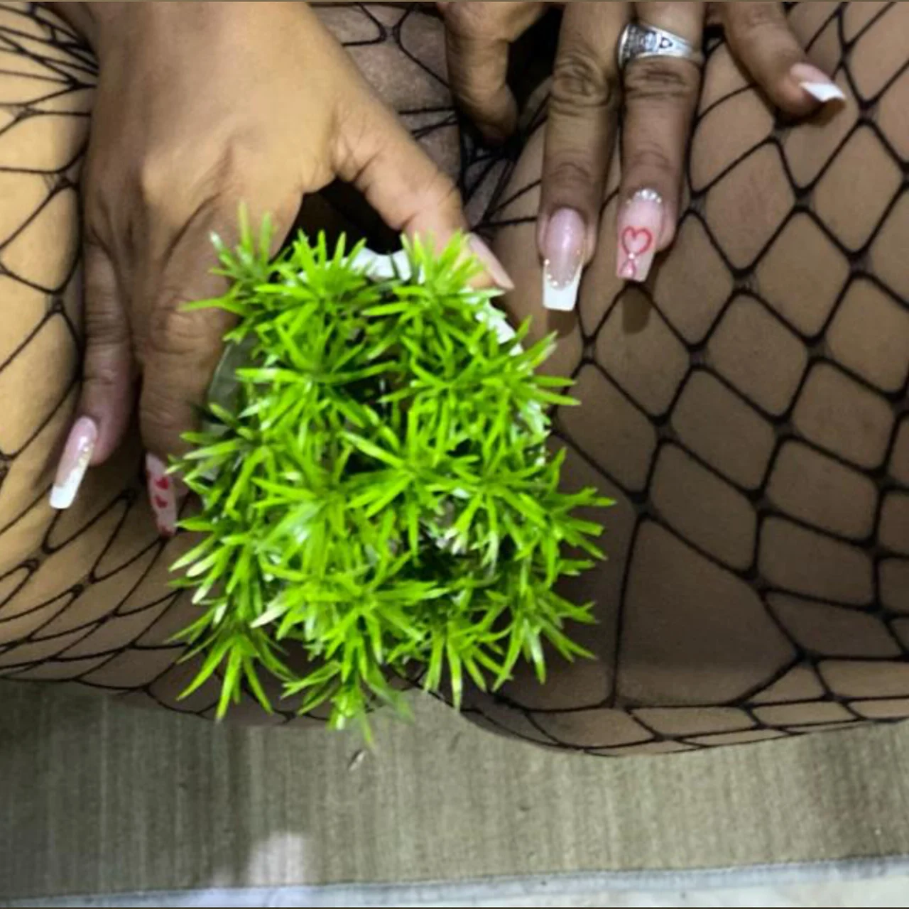 🤤🤤La MORENA 😍😍 - OnlyFans model