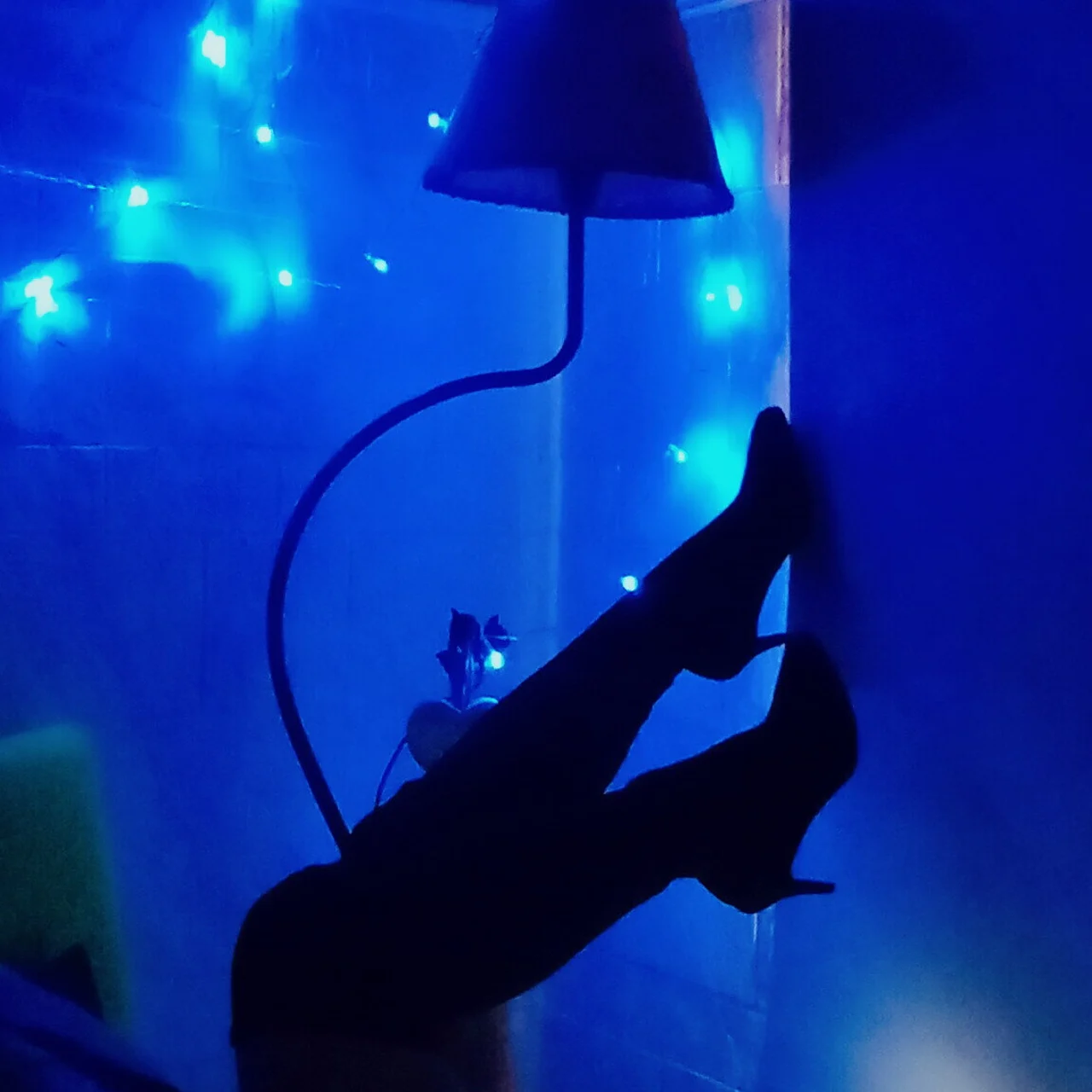 *** SOL SWETT *** - OnlyFans model