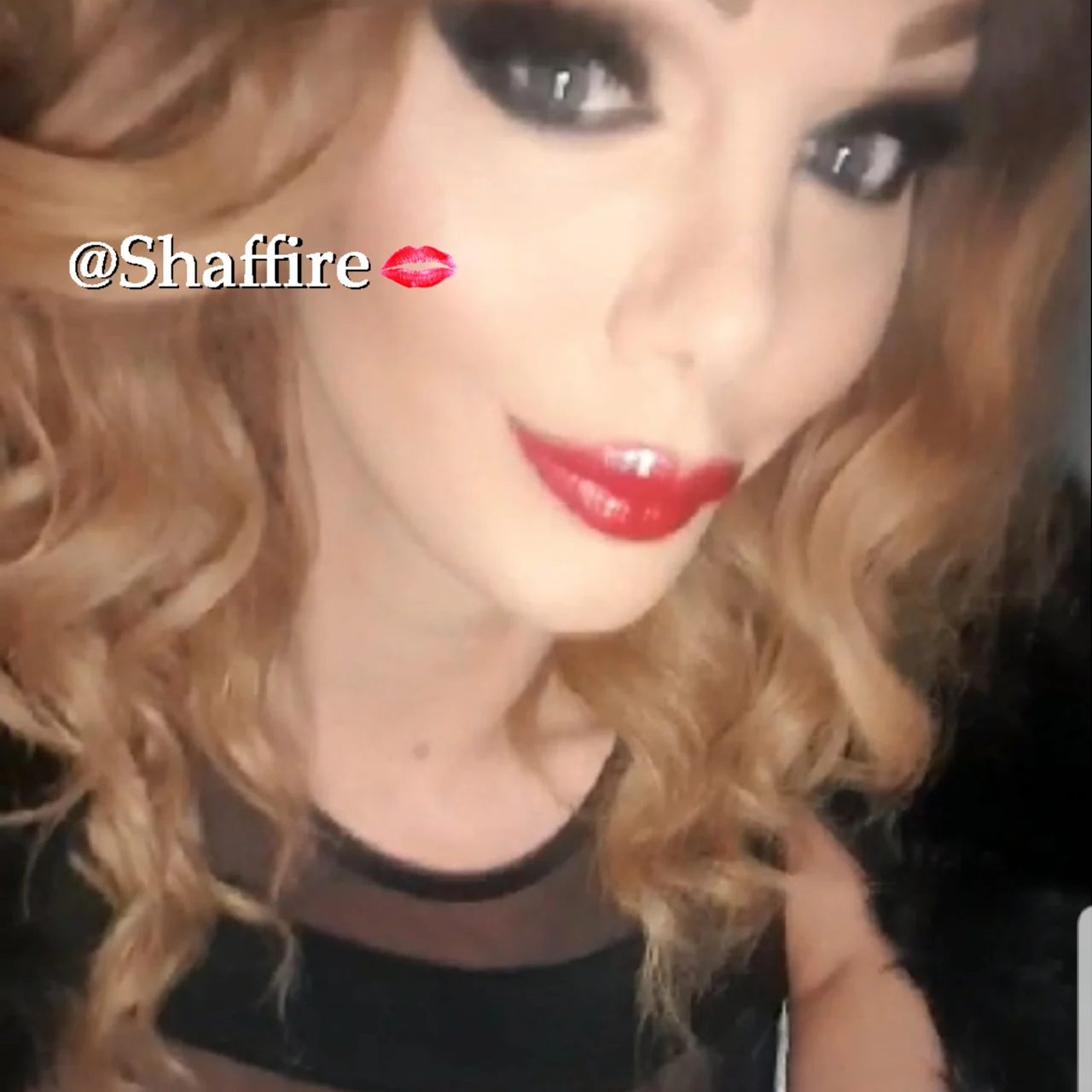 Shemale Shaffire (Free Account) - OnlyFans model