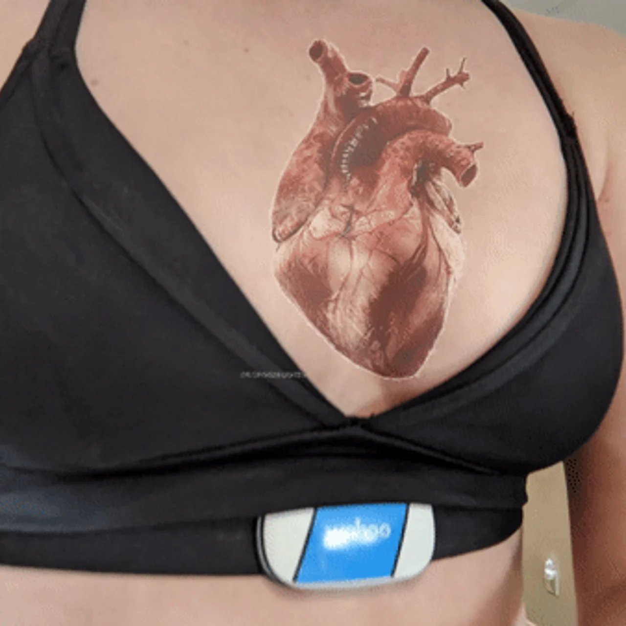 torment-steth-repeat-free - OnlyFans model