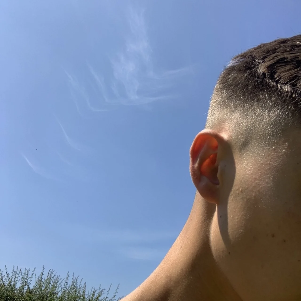 Tyler Rose - OnlyFans model