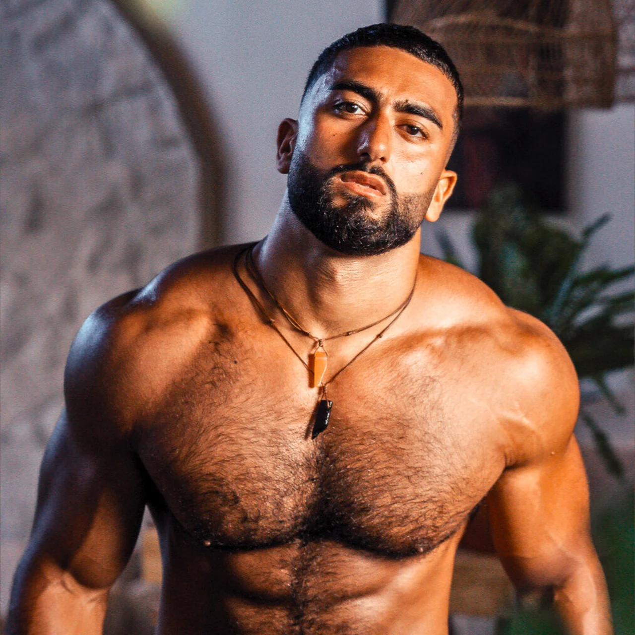 Elyassorari VIP - OnlyFans model